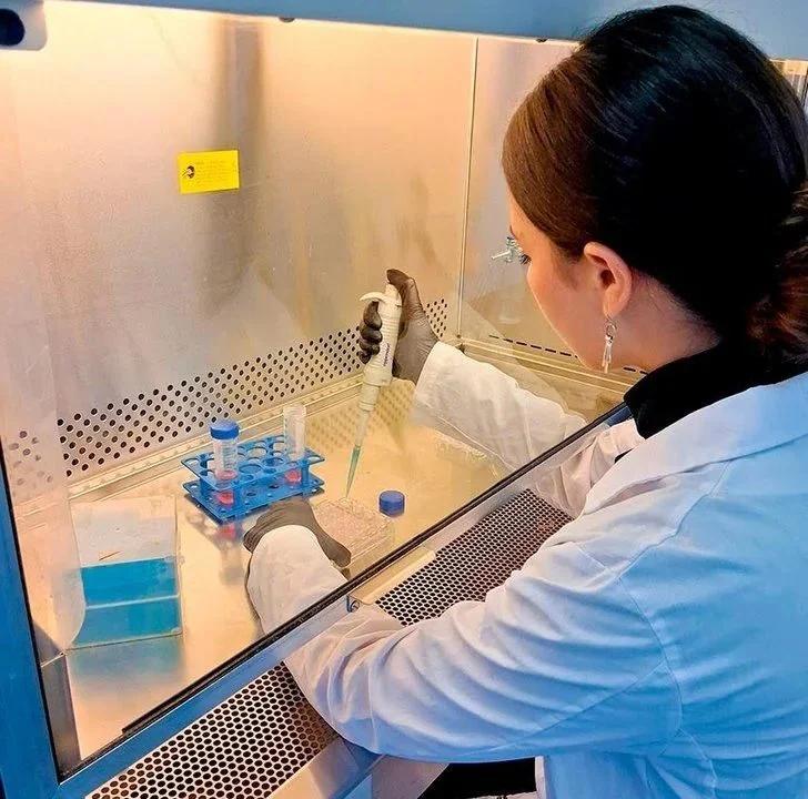 Científicos de la UBA desarrollan un test de sangre para detectar trastornos del