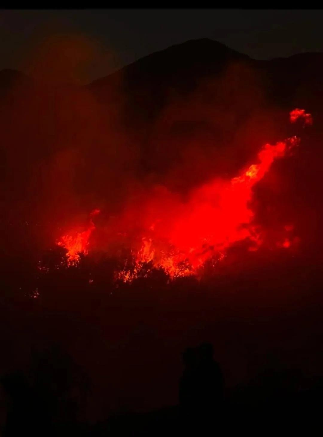INCENDIO EN GUANCHÍN: BOMBEROS Y POLICÍA EN ACCIÓN