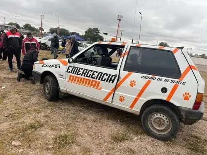 EMERGENCIA ANIMAL: INTERVENCIONES LIMITADAS HASTA EL 17 DE AGOSTO