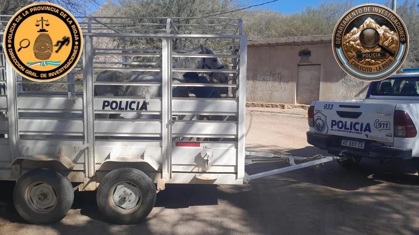 ALLANAMIENTO EN ANGUINAN: SECUESTRAN YEGUA Y DETIENEN A HOMBRE