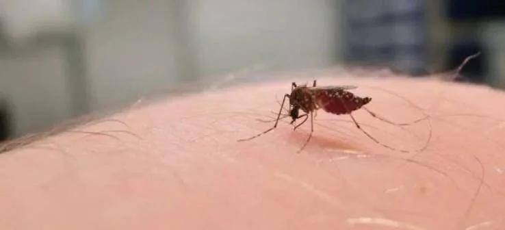 Detectaron un nuevo caso positivo de dengue
