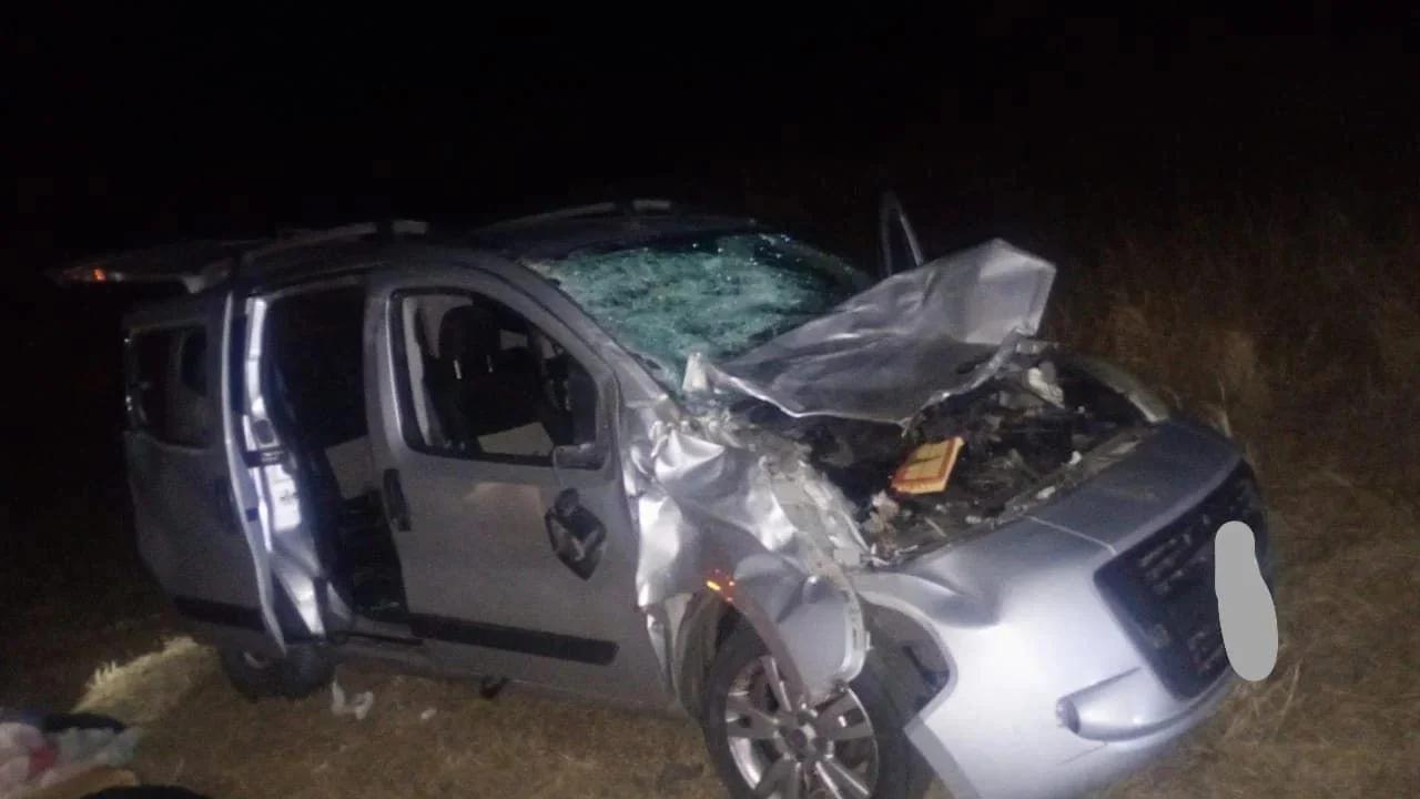 Cuatro heridos tras chocar contra un animal suelto en la Ruta 38