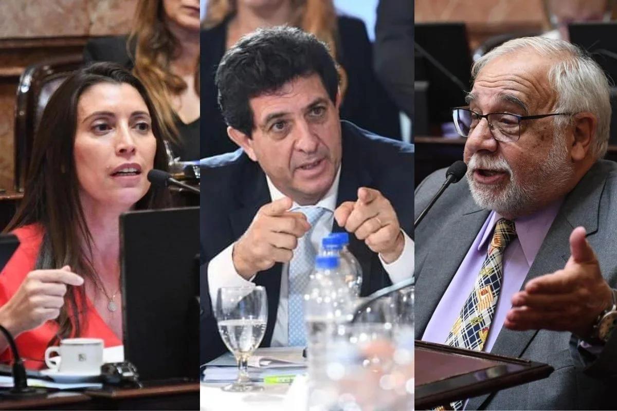 DIVISIÓN EN LA VOTACIÓN DE LA LEY DE TIERRAS EN EL SENADO
