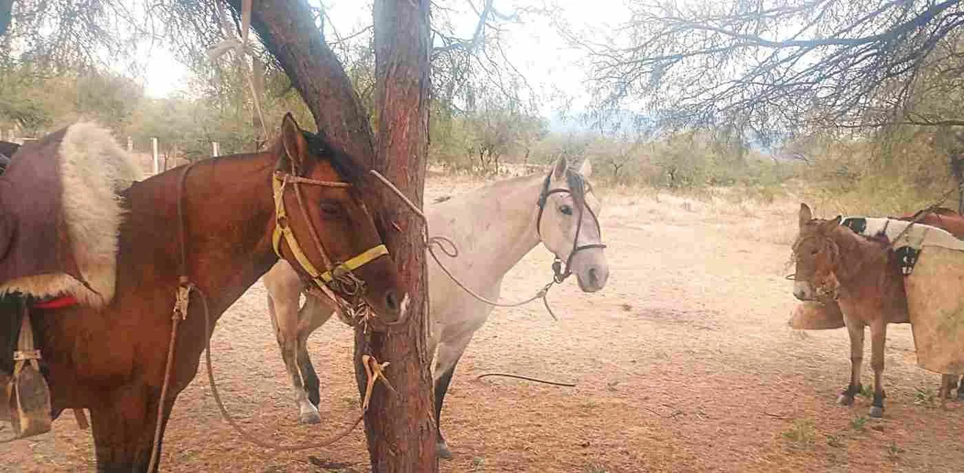 Jinetes catamarqueños llegan a La Rioja para San Nicolás