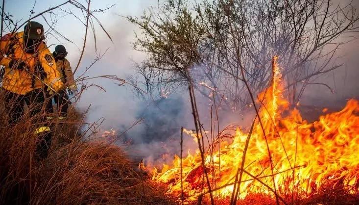 INCENDIO EN CHILECITO CONSUME 900 HECTÁREAS