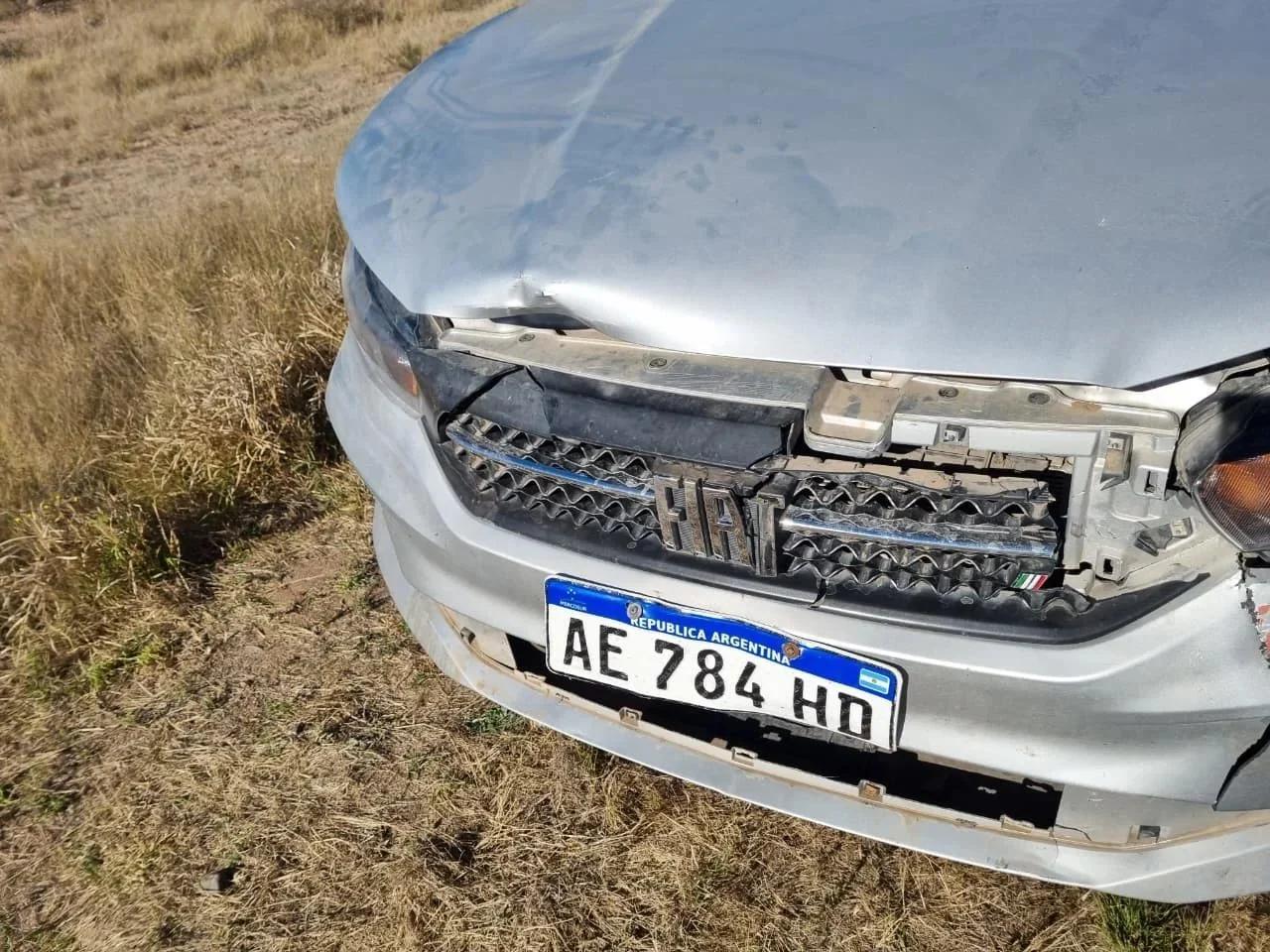 Un automóvil sufrió daños materiales al chocar contra una oveja en la Ruta 31